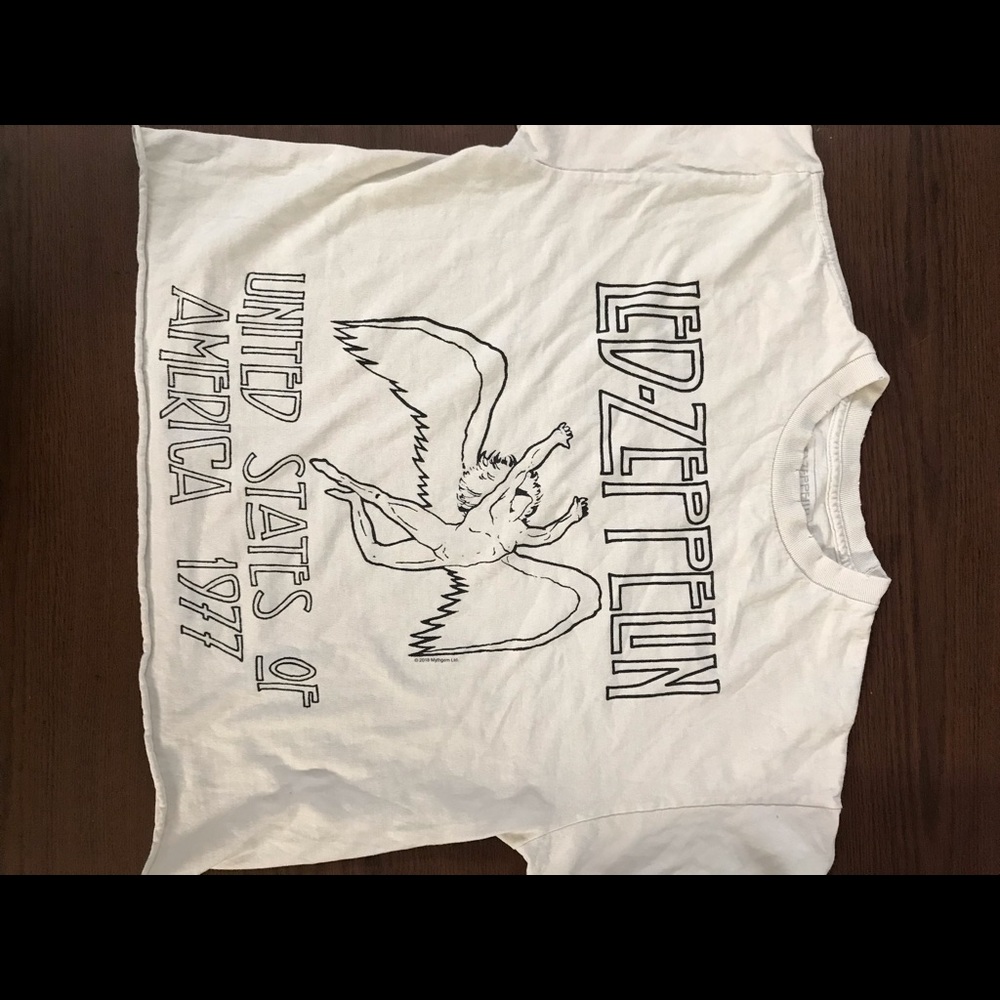 Brandy Melville cropped graphic tee